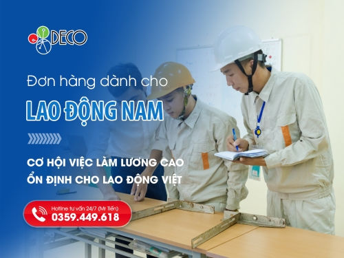 Đơn hàng nam Nhật Bản – Cơ hội việc làm lương cao, ổn định cho lao động Việt