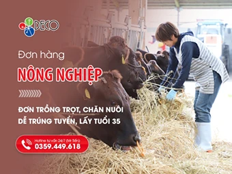 Đơn Hàng Nông Nghiệp Nhật Bản: Trồng Trọt, Chăn Nuôi | Dễ Trúng Tuyển, Lấy Tuổi 35 | DECO