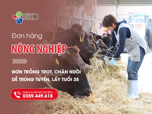 Đơn Hàng Nông Nghiệp Nhật Bản: Trồng Trọt, Chăn Nuôi | Dễ Trúng Tuyển, Lấy Tuổi 35 | DECO