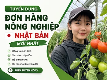 Tuyển Dụng Đơn Hàng Nông Nghiệp Nhật Bản Mới Nhất: Chi Phí Thấp, Lương Cao, Dễ Trúng Tuyển