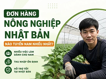 Đơn Hàng Nông Nghiệp Nhật Bản Nào Tuyển Nam Nhiều Nhất?