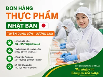 Đơn Hàng Thực Phẩm Nhật Bản Tuyển Dụng Lớn Lương Cao Việc Làm Ổn Định Trong Nhà Xưởng Có Nhiều Tăng Ca