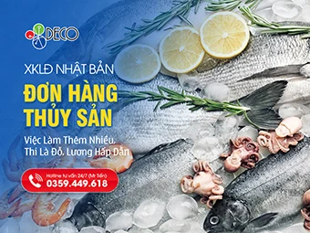 Đơn Hàng Thủy Sản Nhật Bản: Việc Làm Thêm Nhiều, Thi Là Đỗ, Lương Hấp Dẫn