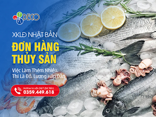 Đơn Hàng Thủy Sản Nhật Bản: Việc Làm Thêm Nhiều, Thi Là Đỗ, Lương Hấp Dẫn