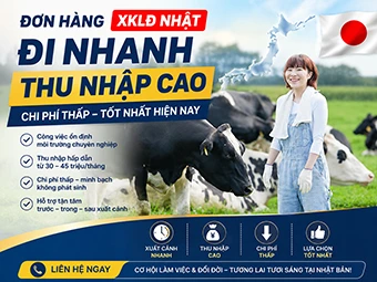 Đơn Hàng XKLĐ Nhật Đi Nhanh Thu Nhập Cao Chi Phí Thấp Tốt Nhất Hiện Nay