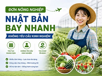 Đơn Nông Nghiệp Nhật Bản Bay Nhanh, Không Yêu Cầu Kinh Nghiệm: Cơ Hội Đổi Đời Cho Lao Động Việt