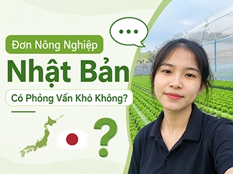 Đơn Nông Nghiệp Nhật Bản Có Phỏng Vấn Khó Không: Bí Quyết Đỗ Ngay Từ Lần Đầu Kèm Trọn Bộ Câu Hỏi Chi Tiết
