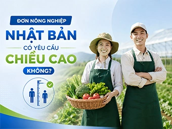 Đơn Nông Nghiệp Nhật Bản Có Yêu Cầu Chiều Cao Không? Sự Thật Cho Lao Động Thấp Bé