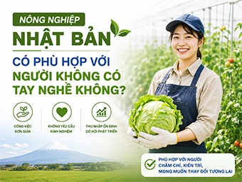 Nông Nghiệp Nhật Bản Có Phù Hợp Với Người Không Có Tay Nghề Không?