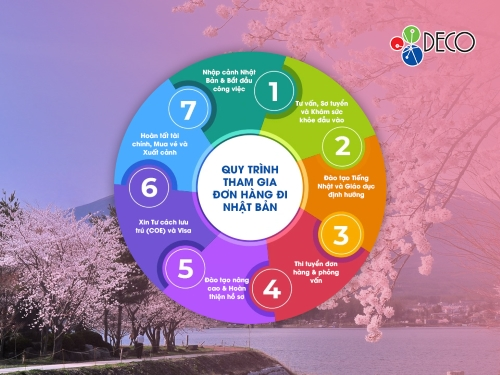 Quy trình tham gia đơn hàng đi Nhật: 7 Bước chuẩn từ A-Z | XKLĐ DECO