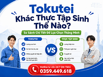Tokutei Khác Thực Tập Sinh Thế Nào? So Sánh Chi Tiết Để Lựa Chọn Thông Minh