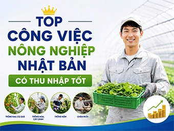 Top Công Việc Nông Nghiệp Nhật Bản Có Thu Nhập Tốt: Cơ Hội Đổi Đời Năm 2026