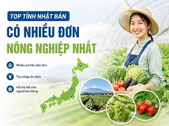 Top Tỉnh Nhật Bản Có Nhiều Đơn Nông Nghiệp Nhất: Cẩm Nang Chọn Vùng Năm 2026