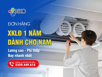 Đơn Hàng 1 Năm Đi Nhật Cho Nam Lương Cao, Phí Thấp Và Bay Nhanh Nhất