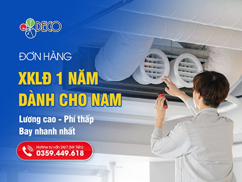 Đơn Hàng 1 Năm Đi Nhật Cho Nam Lương Cao, Phí Thấp Và Bay Nhanh Nhất