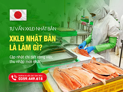 Xuất Khẩu Lao Động Nhật Bản Là Làm Gì? Chi Tiết Công Việc Và Thu Nhập Năm 2026